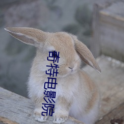 奇特电影院