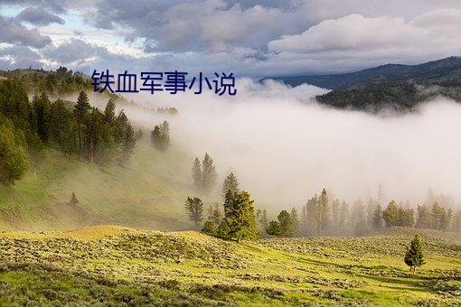 铁(tiě)血军事(shì)小说