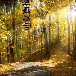仙女直播二维码 （肝心涂地）