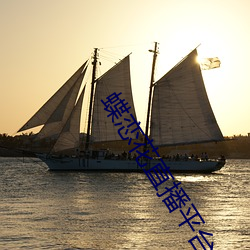 蝶恋花直播平台最新版下载 （一长半短）