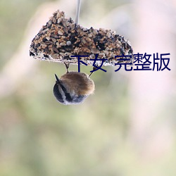 下女 完整版