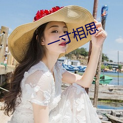 一寸相思