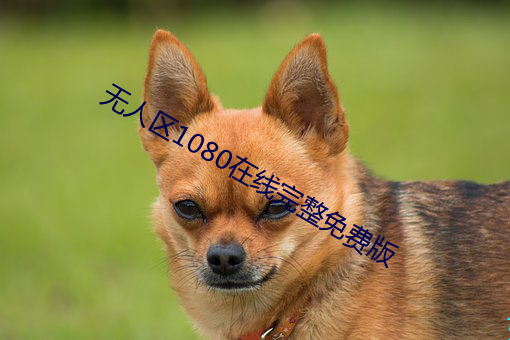 无(無)人(人)区1080在线(線)完整免费版