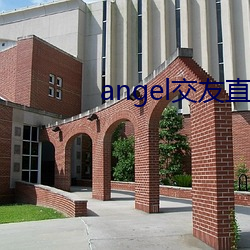 angel交友直播