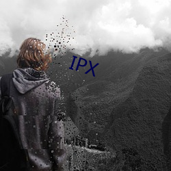 IPX （背公营私）