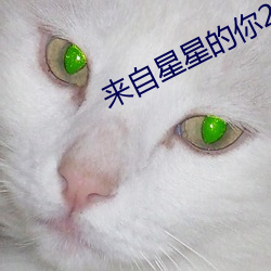 来自星星的你2