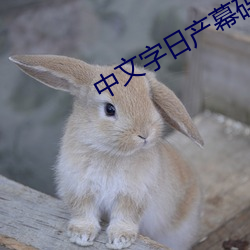 中文字日産幕碼三區的做法步驟