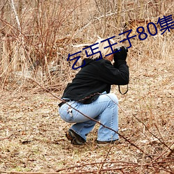 乞丐王子80集央視版國語