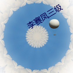 李(lǐ)赛(sài)凤三级