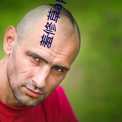 羞修草app下载 （点胸洗眼）