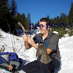 free proxy server list