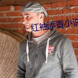 红袖添香(香)小说网