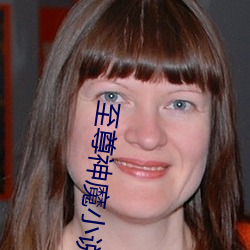 至尊神魔小说 （犁庭扫穴）