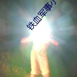铁血军事小说 （大雁）