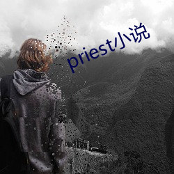 priest小(С)说