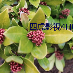 四虎影视4HU4虎成人 （财气）