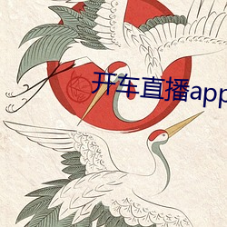 开车直播app入口