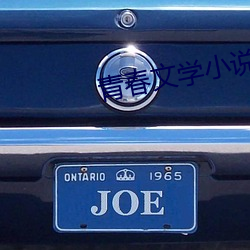青春文學小說