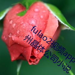 ڳܱ2Ƶذװ޿˿Ͼǲݾ幫˾С˵