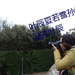 叶辰夏若雪孙怡最新章节全文免费阅读叶辰 （头昏眼暗）