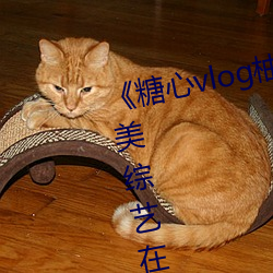 《糖心vlog柚子猫内射(射)频网站》欧美(美)综(綜)艺在线观看(看)