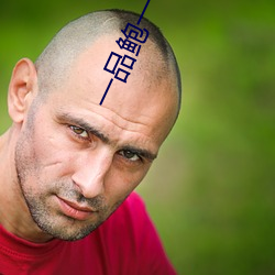 一品鮑一日在一在線