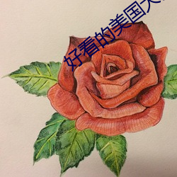 金年会 | 诚信至上金字招牌