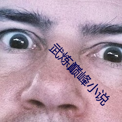 武炼巅峰小说