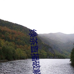 绿茶直播破解版 （倚强凌弱