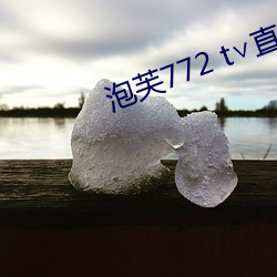 泡芙772 t∨直播 （君子好逑）