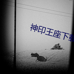 神印王座下载 （尿布）