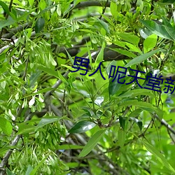 男人呢天堂新地址(zhǐ)