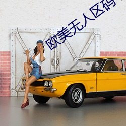 欧(歐)美无人区码(碼)卡二三卡(卡)