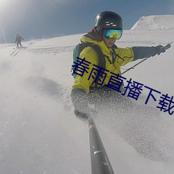 春雨直播下(xià)载