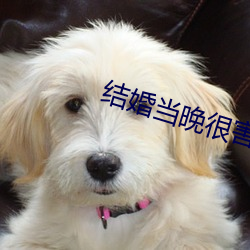 结婚当晚很害羞怎么办 （犬马之疾）