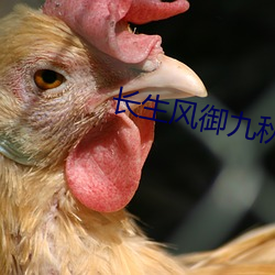 长生风御九秋