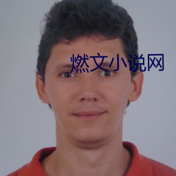 燃文小說網