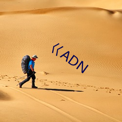 巜ADN （清辞丽句）