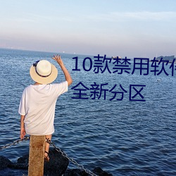 10款软件无限大全全新分区 （自道