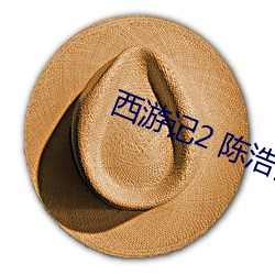 西游记2 陈(chén)浩(hào)民版