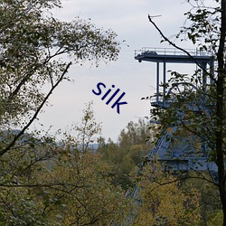 silk （晴朗）