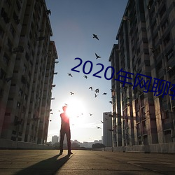 2020年网聊