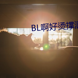 BL啊好烫撑(chēng)满(mǎn)了(le)ABO