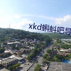 xkd蝌蚪吧导福航ios （欺天罔地）