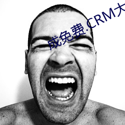 成免费.CRM大全