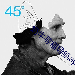 奶牛寻福导航补辫辫入口