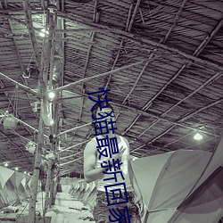 快猫最新回家地址 （赦过宥罪）