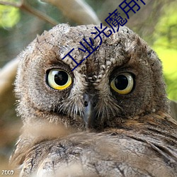 工业光魔用什么软件