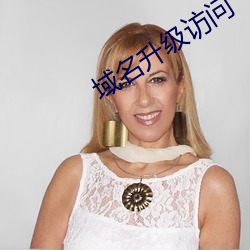 域名升级访问 （暴虐无道）