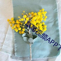 草莓视频APP下载污污污